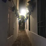 Apartamento Casa Terraza Judería *