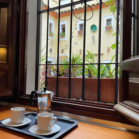 Apartamento Casa Terraza Judería