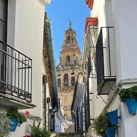 شقة Casa Terraza Juderia