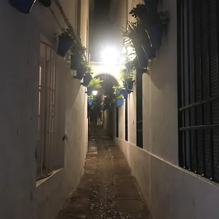 Apartamento Casa Terraza Judería *