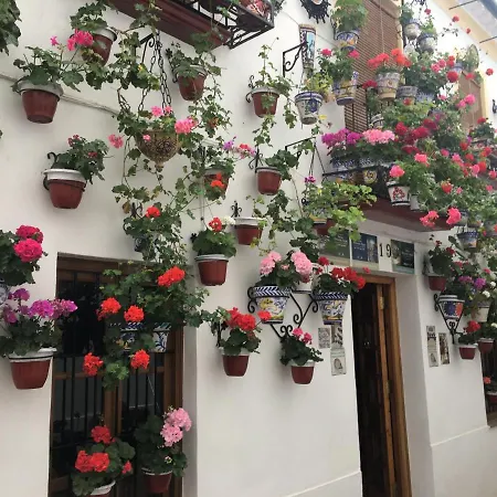 Casa Terraza Juderia Apartment *