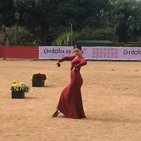 Geysotur Casa Terraza Juderia Apartament