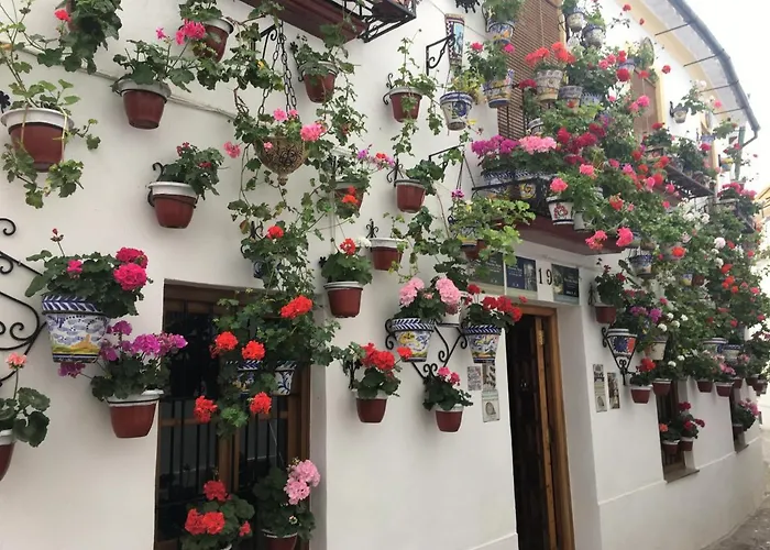 Geysotur Casa Terraza Juderia דירה *