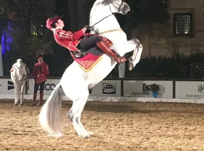 Geysotur Casa Terraza Juderia Kordoba