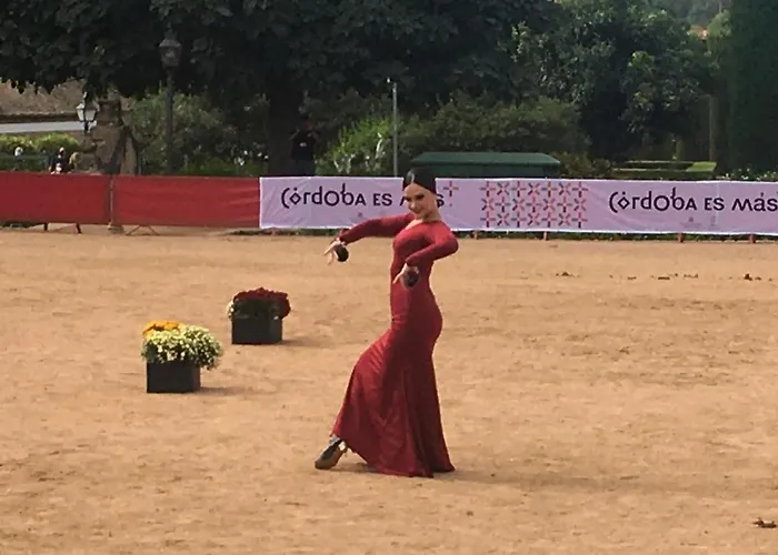 Geysotur Casa Terraza Juderia דירה