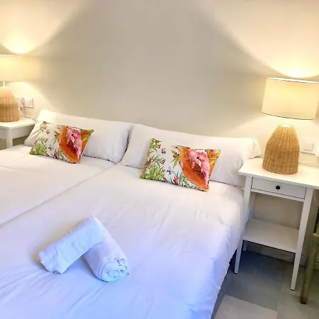 Apartamento Casa Terraza Judería *