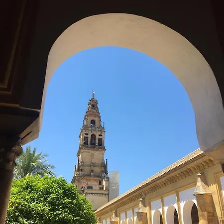 Casa Terraza Juderia Daire