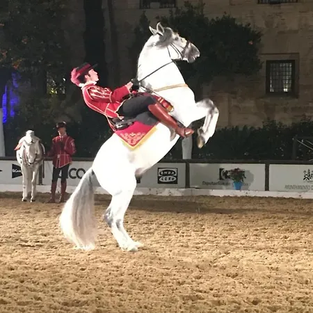 Casa Terraza Juderia Cordoba